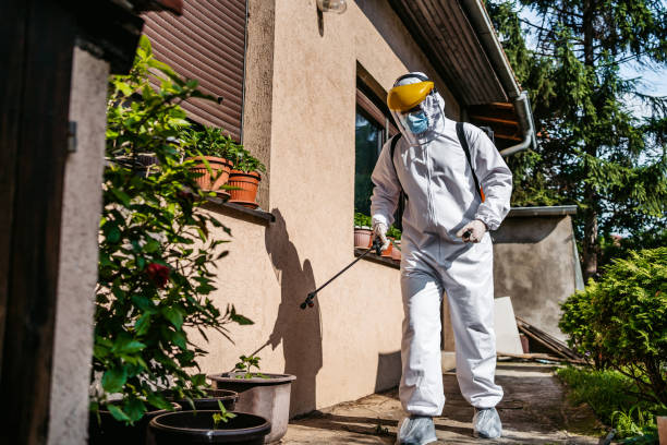 Best Local Pest Control Services  in Manito, IL
