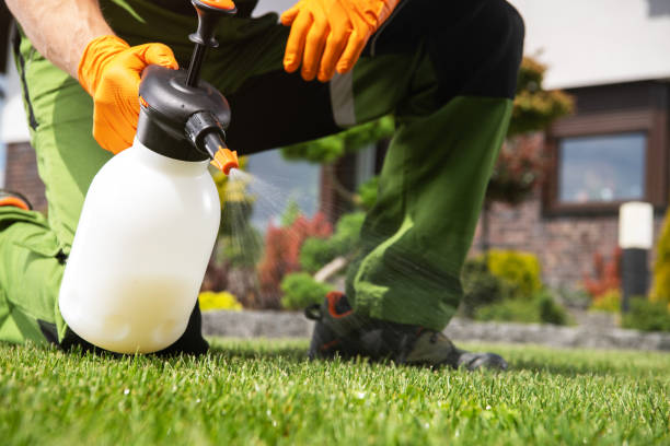 Best Rat Extermination Near Me  in Manito, IL