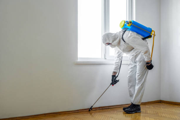 Best Emergency Pest Control  in Manito, IL