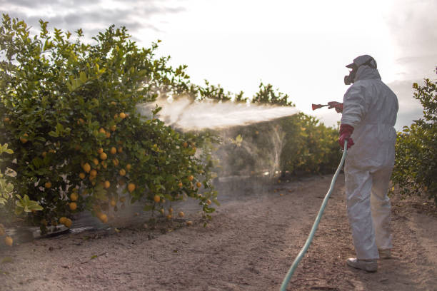 Best Pest Control Near Me  in Manito, IL