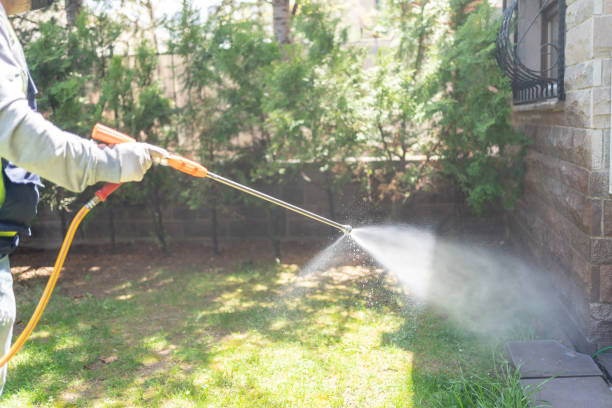 Best Bed Bug Extermination  in Manito, IL