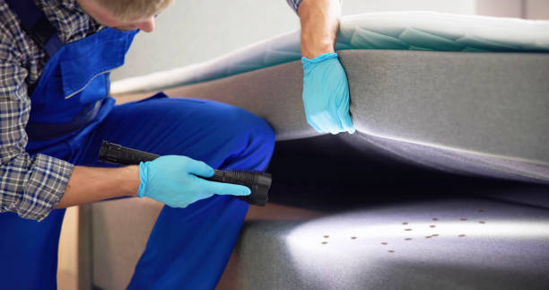 Trusted Manito, IL Pest Control Experts