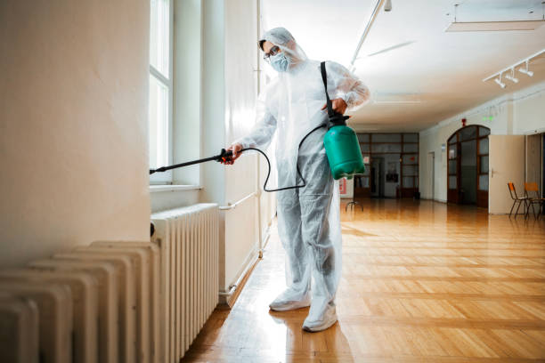 Best Exterminator Services  in Manito, IL