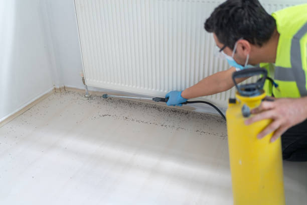 Best Affordable Pest Control Services  in Manito, IL