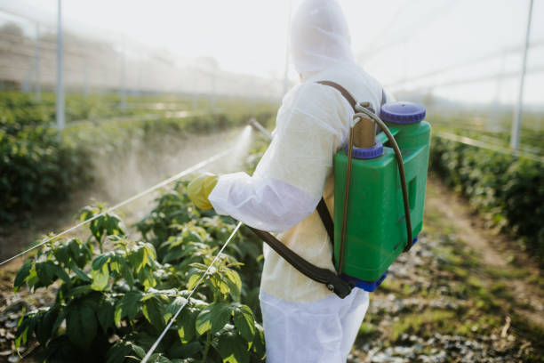 Best Pest Prevention Services  in Manito, IL